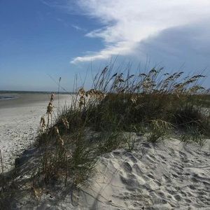 Meet your Posher, Connie